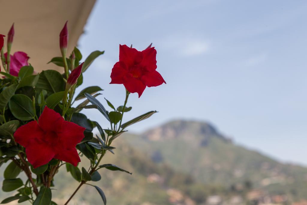 La Guardiola Di Angela E Nino Bed & Breakfast Taormina Eksteriør bilde